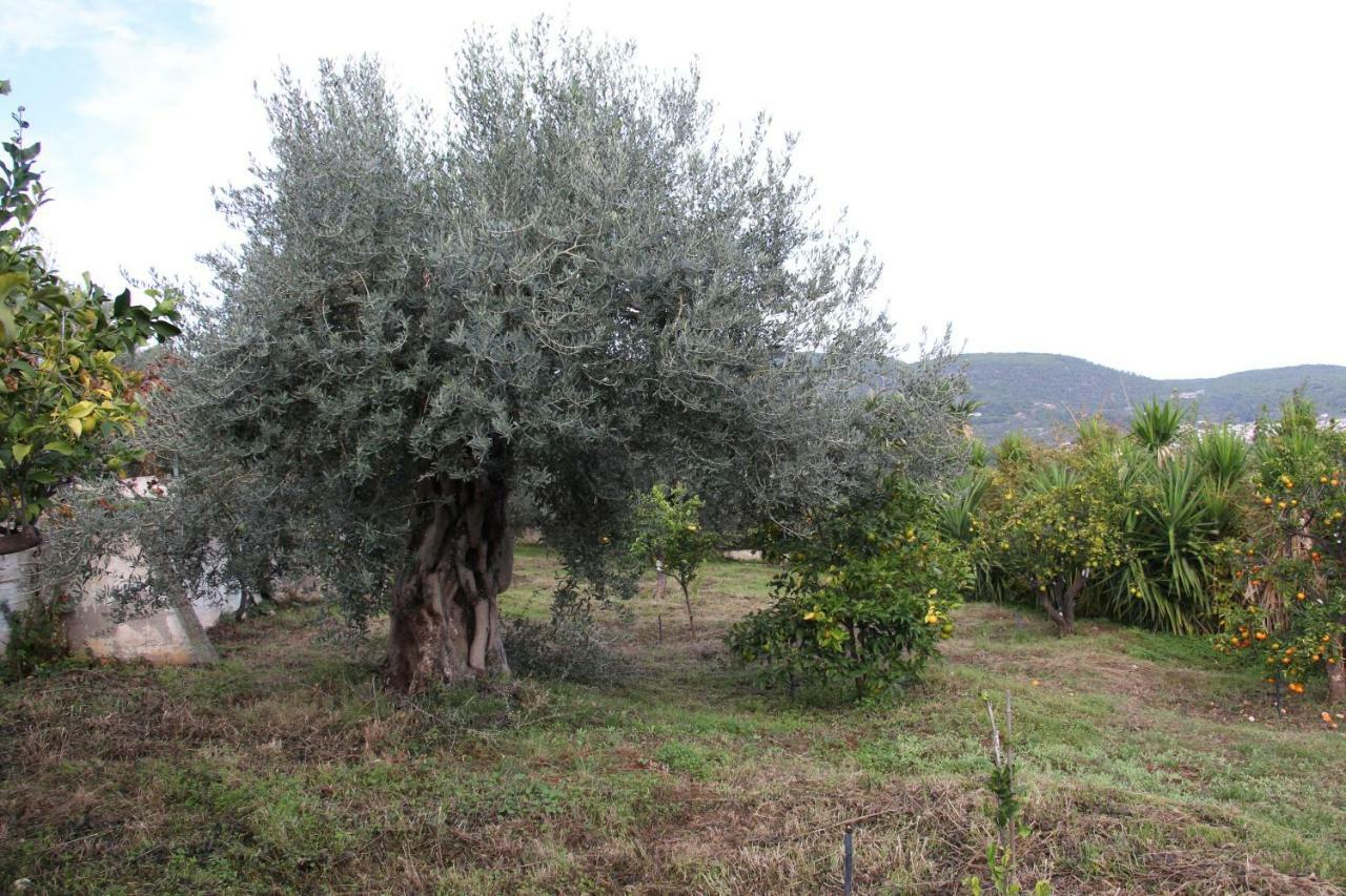 Villa Krassi Epidaurus Dış mekan fotoğraf